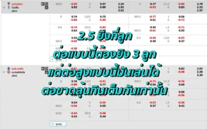 ราคาบอล 2-2.5 คือ
